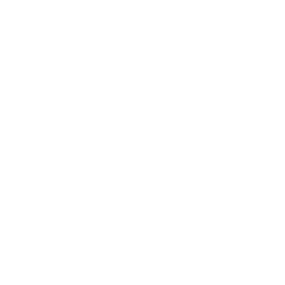 Your Georgia Insurance